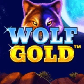 Wolf Gold 